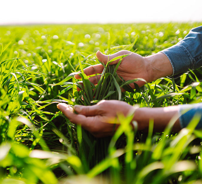 AgriCare